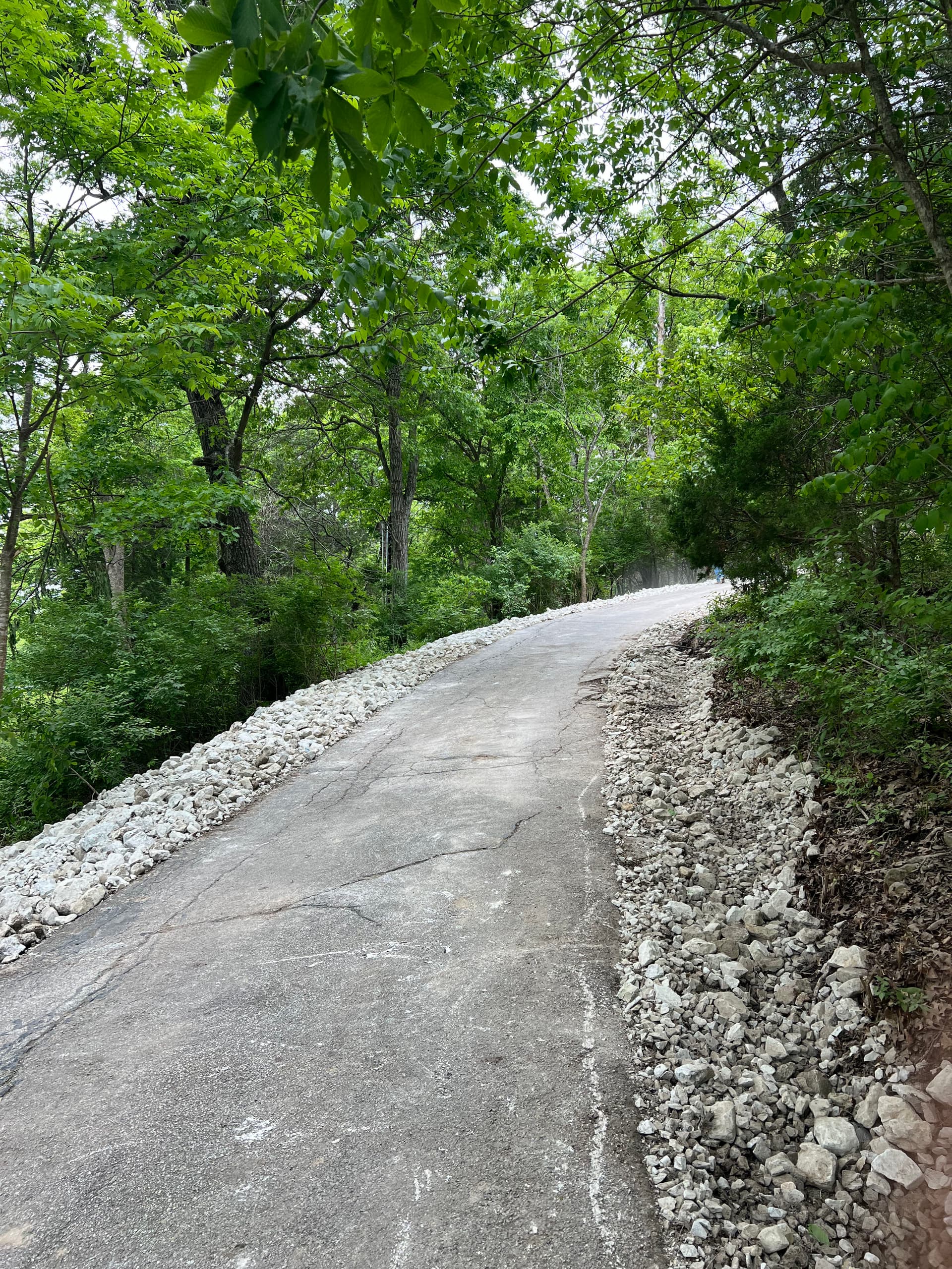 Gallery photos for Steep Driveway Erosion Fixed With Regrading and Large Stone: Image #5