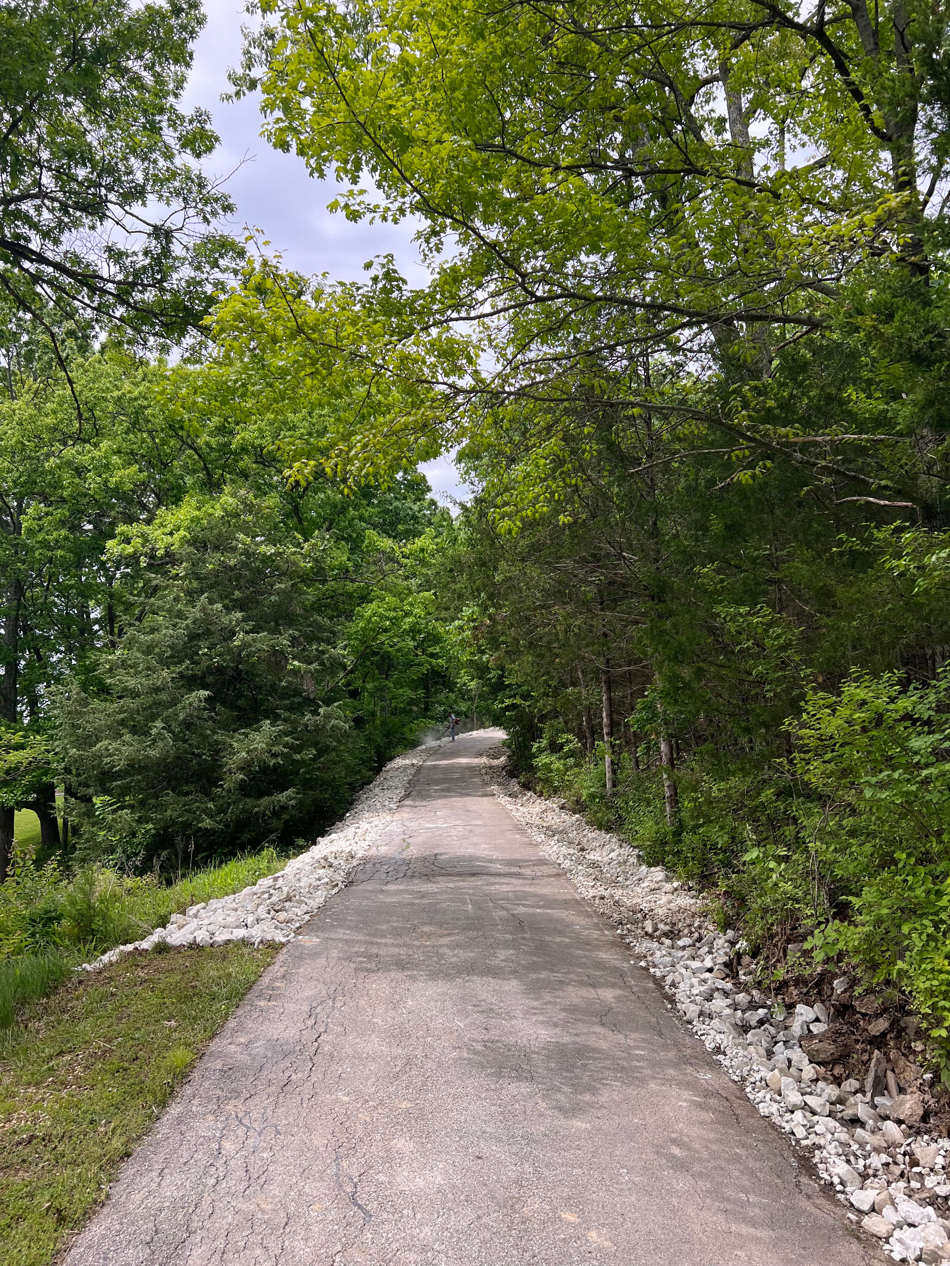 Project Steep Driveway Erosion Fixed With Regrading and Large Stone image
