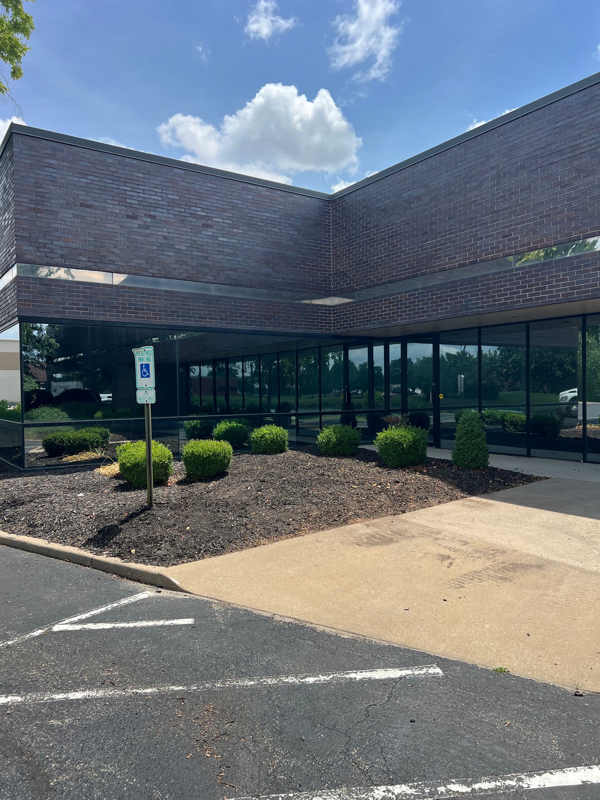Dead Tree Removal, Stump Grinding, and Full Cleanup at a Commercial Property