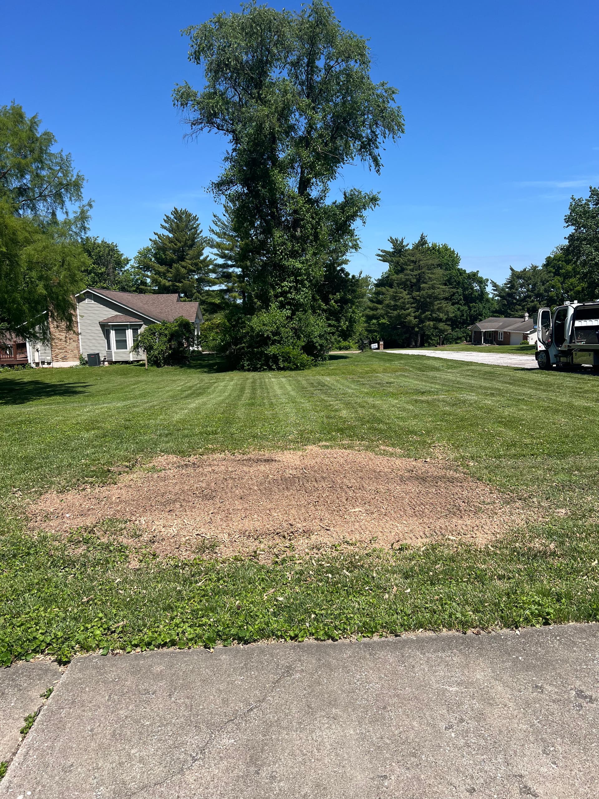 Gallery photos for Stump Grinding That Cleans Up Your Yard for Good: Image #1
