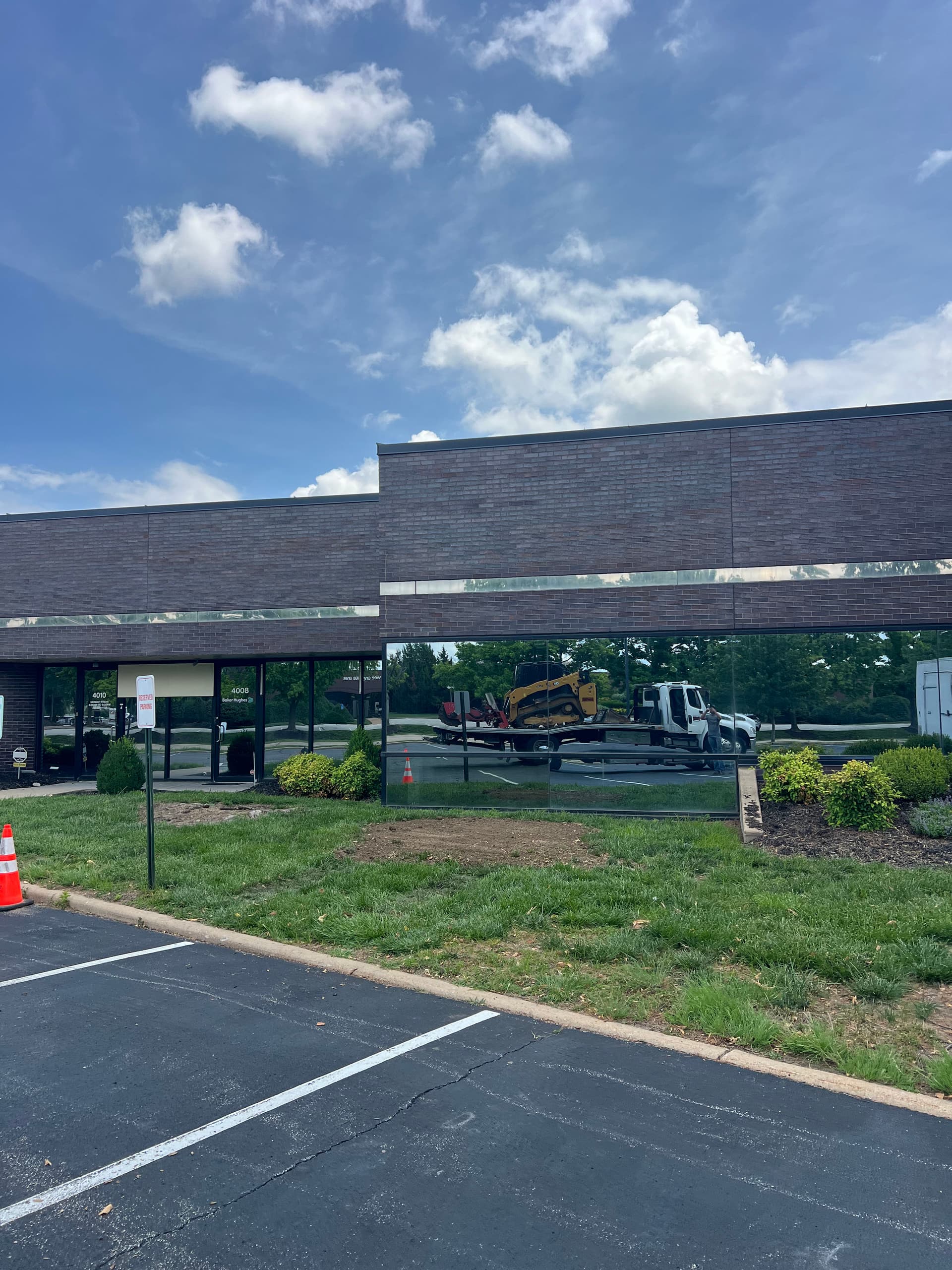 Gallery photos for Dead Tree Removal, Stump Grinding, and Full Cleanup at a Commercial Property: Image #2